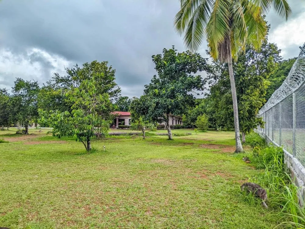 Roadside property with 2,906 m² in Dolega