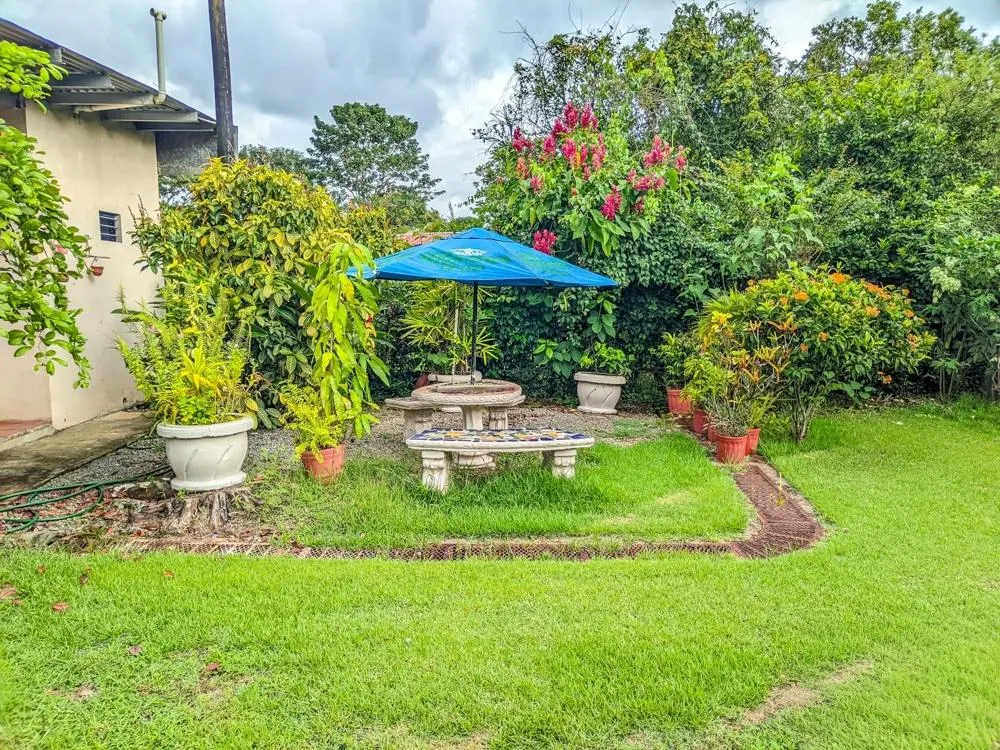 Roadside property with 2,906 m² in Dolega