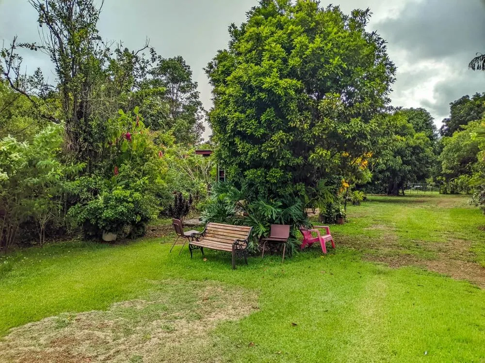 Roadside property with 2,906 m² in Dolega