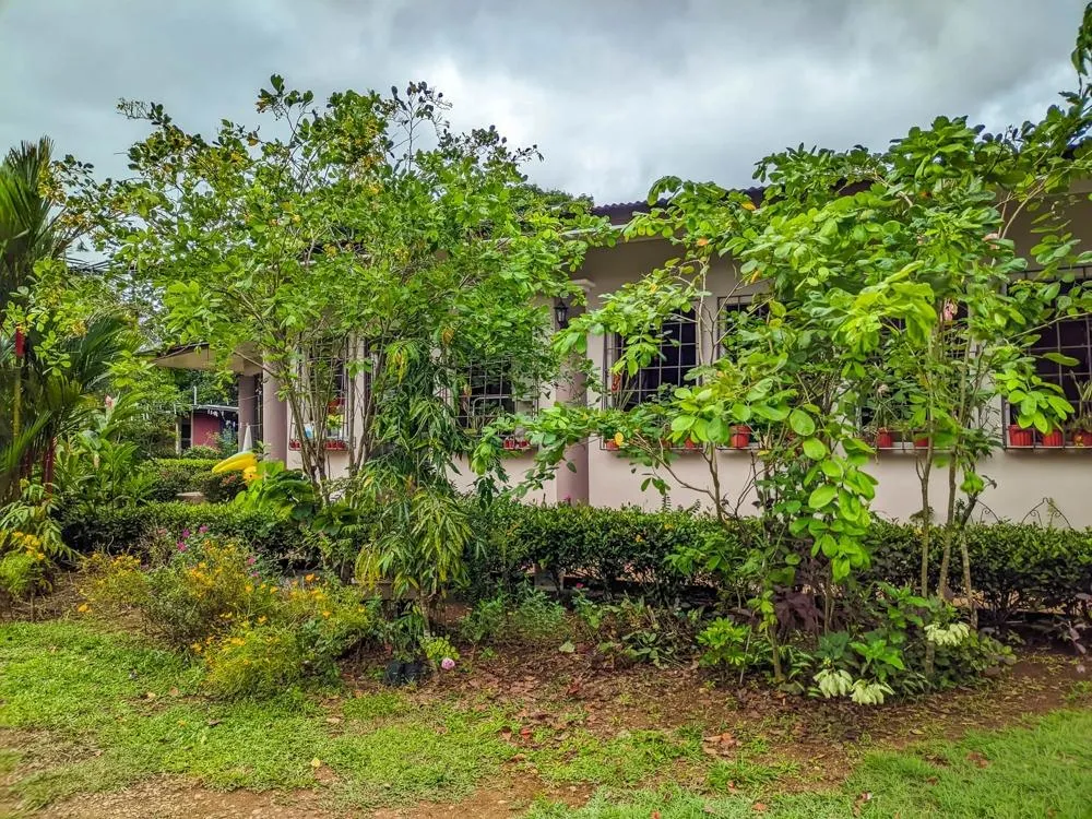 Roadside property with 2,906 m² in Dolega
