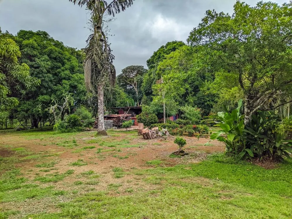 Roadside property with 2,906 m² in Dolega