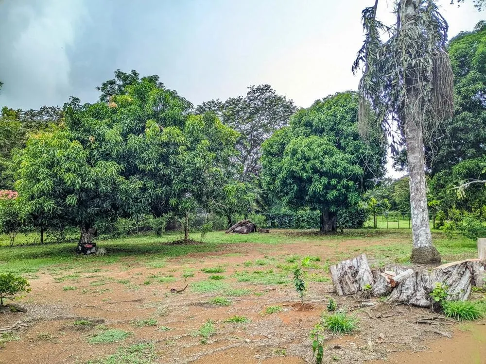 Roadside property with 2,906 m² in Dolega
