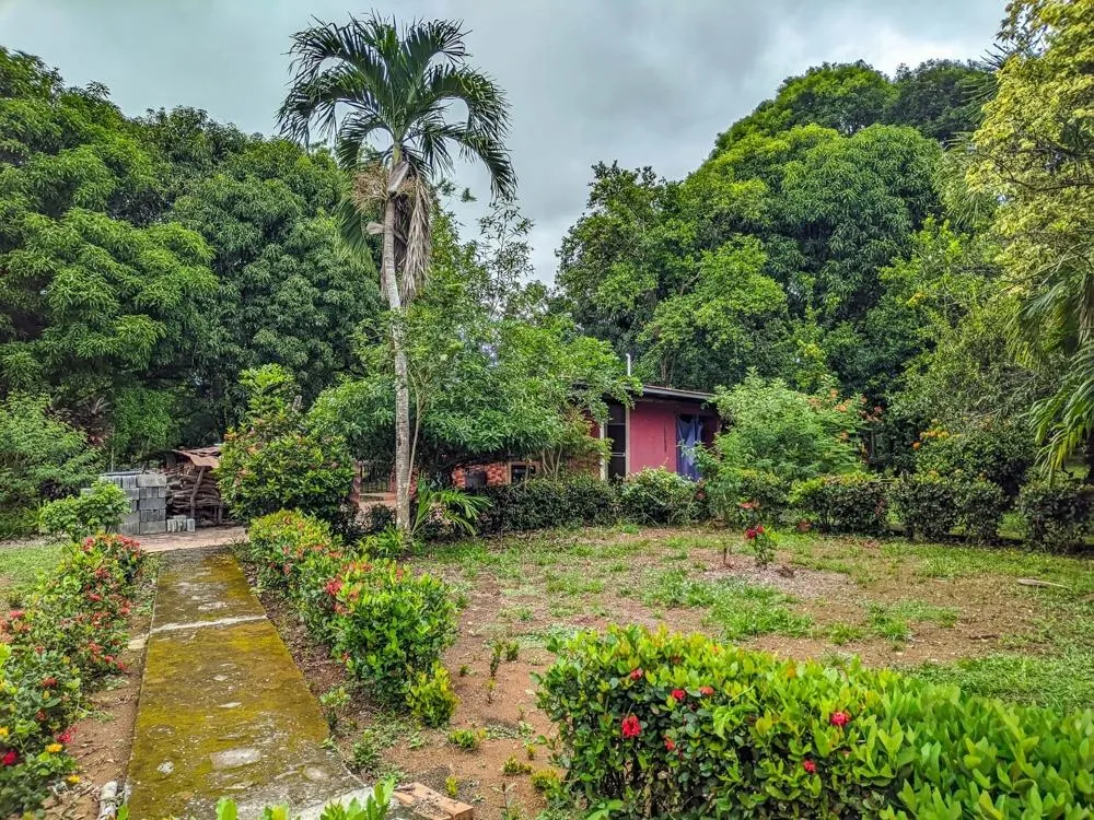 Roadside property with 2,906 m² in Dolega