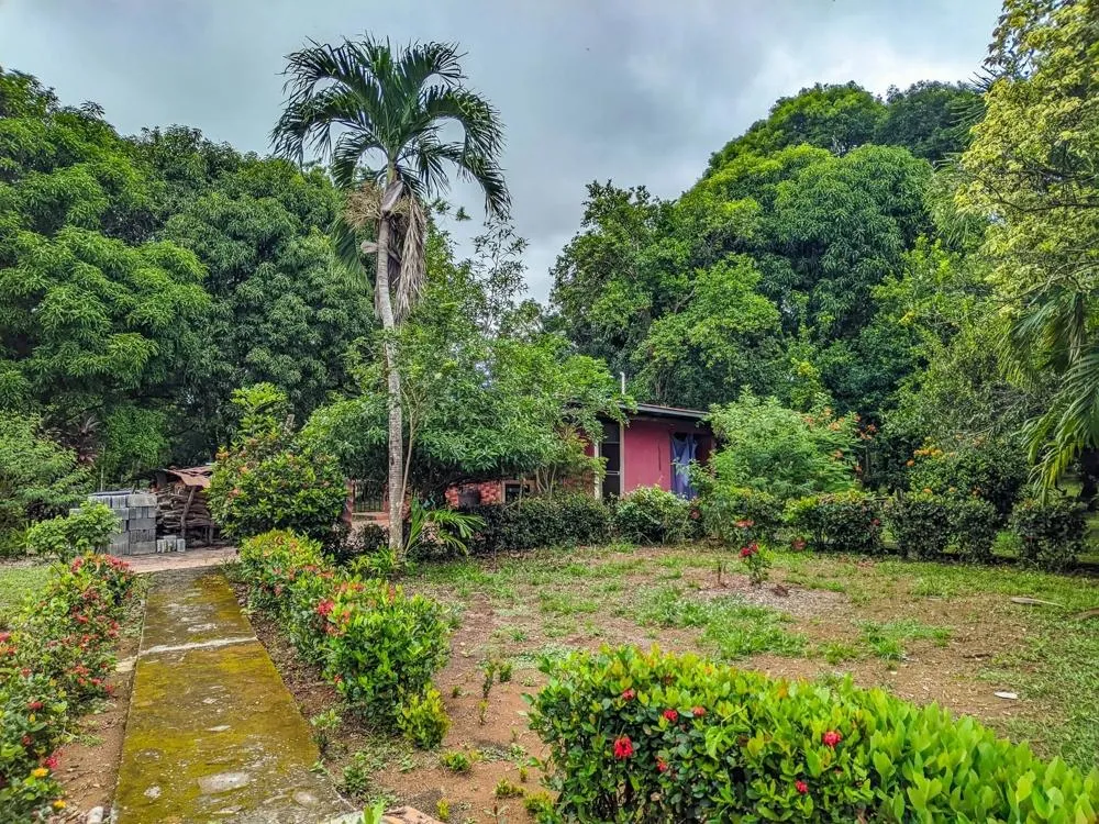 Roadside property with 2,906 m² in Dolega