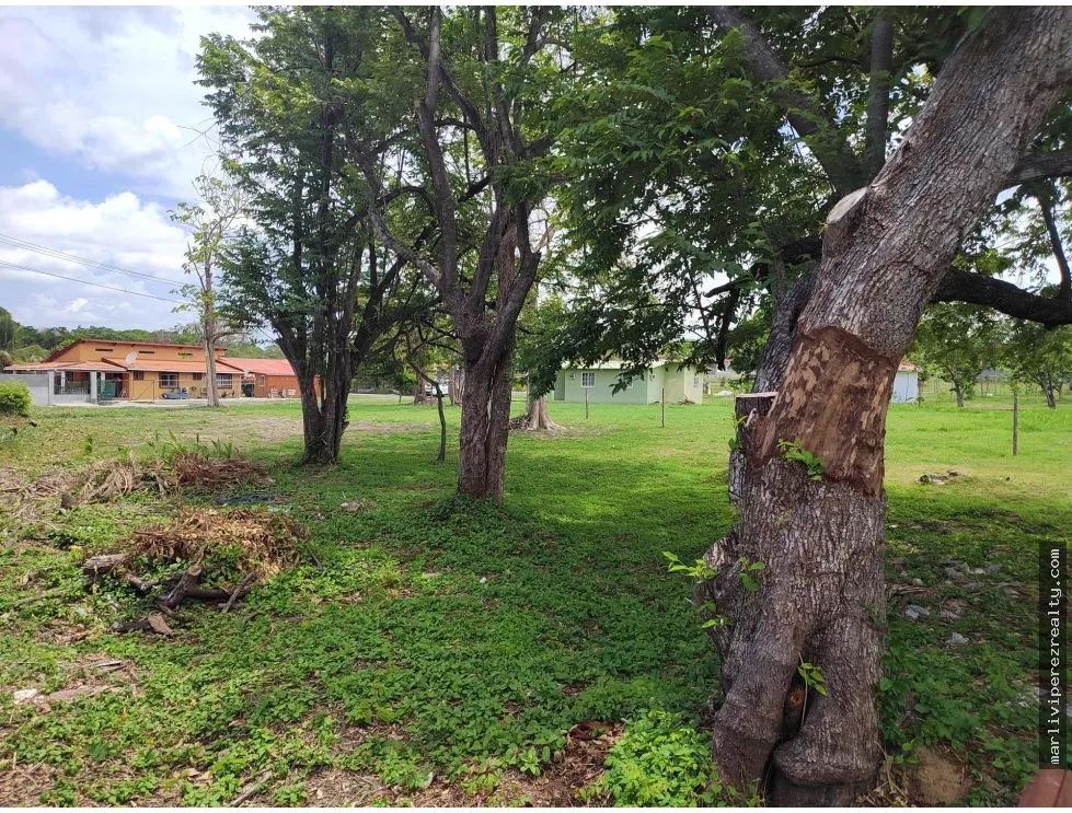 Land at Excellent Price in Residential Community