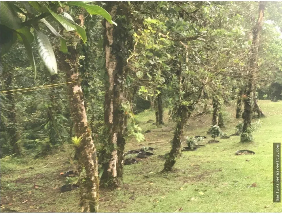 Venta de casa en Altos de Maria