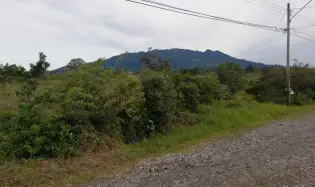 Amplios 5 Hectáreas en Venta en Alto Boquete