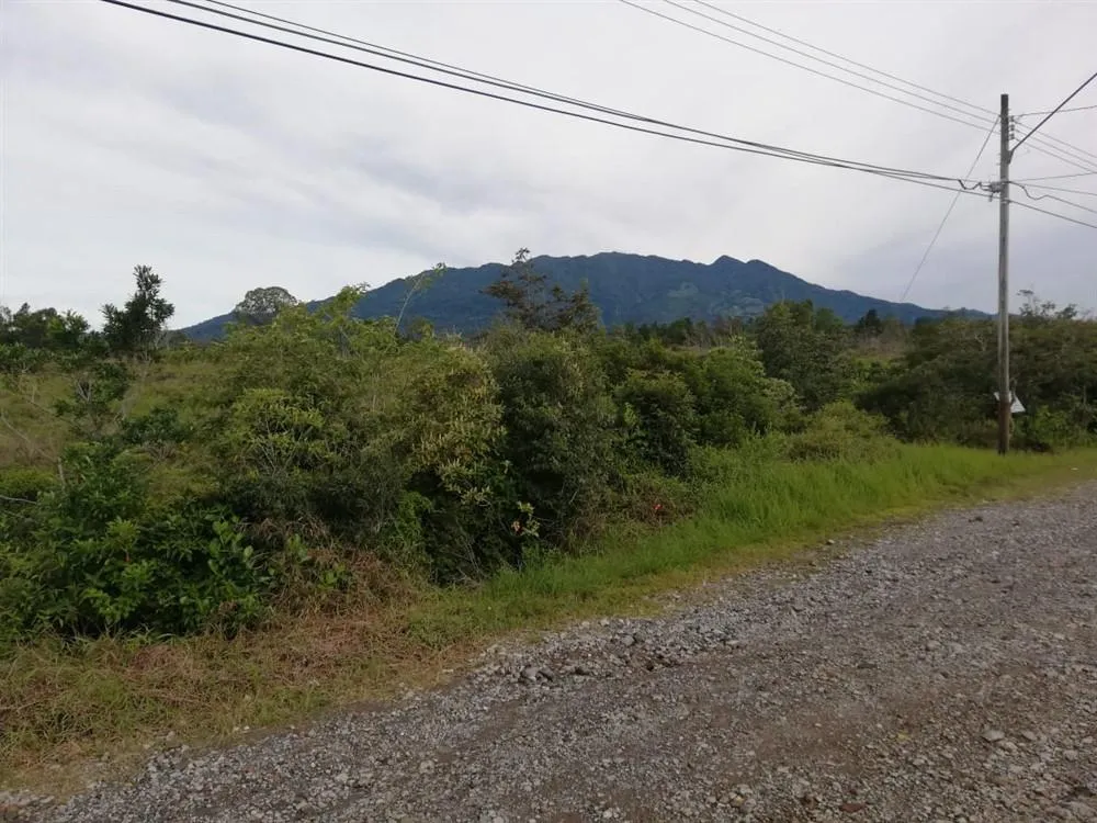 Amplios 5 Hectáreas en Venta en Alto Boquete