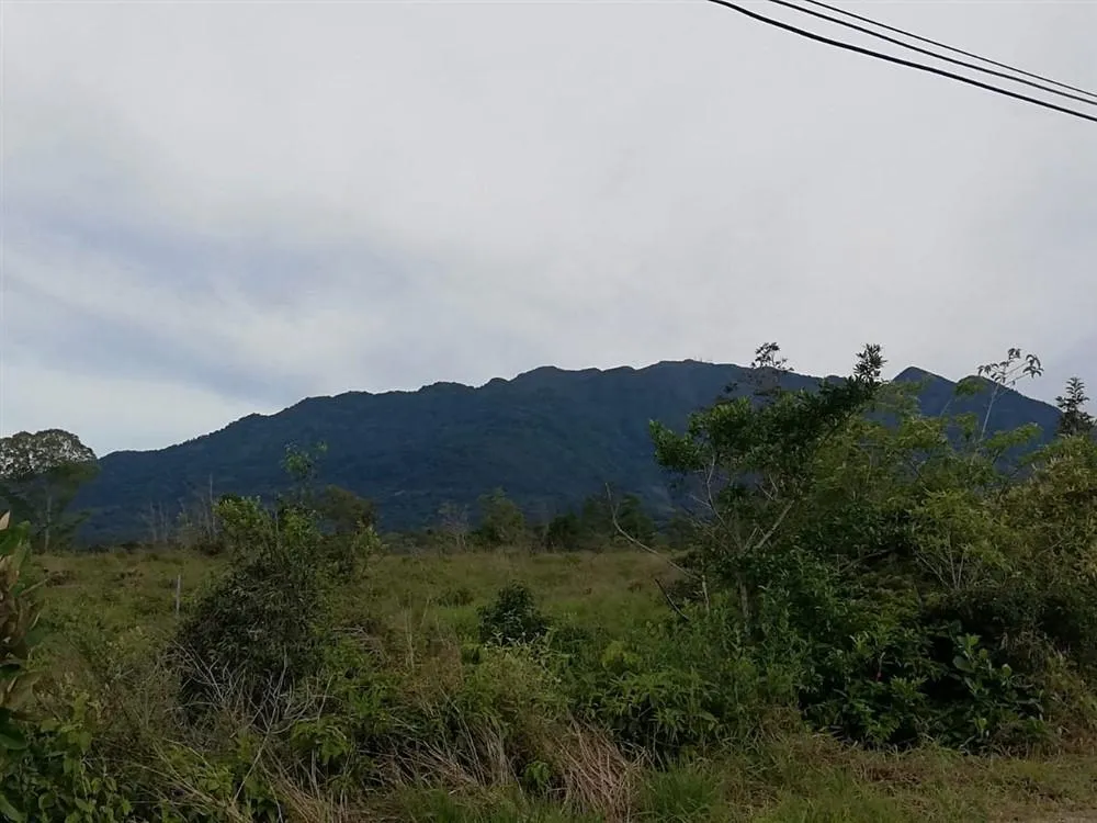Amplios 5 Hectáreas en Venta en Alto Boquete
