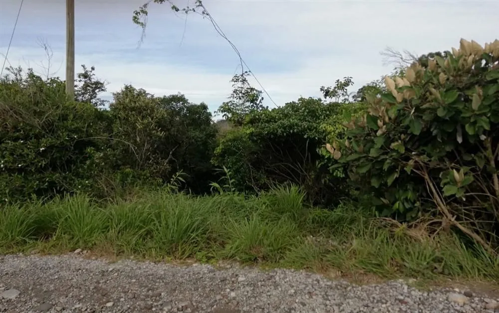 Amplios 5 Hectáreas en Venta en Alto Boquete