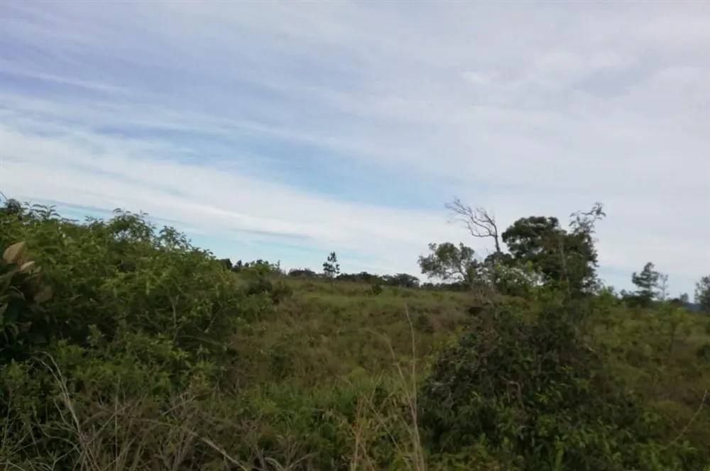 Amplios 5 Hectáreas en Venta en Alto Boquete
