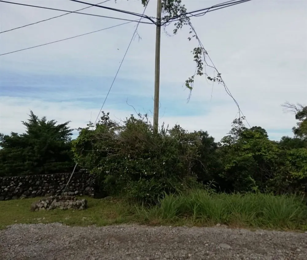 Amplios 5 Hectáreas en Venta en Alto Boquete