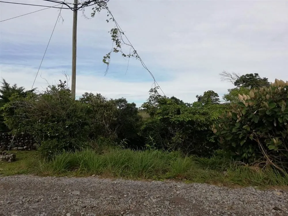 Amplios 5 Hectáreas en Venta en Alto Boquete