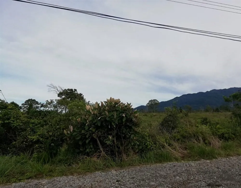 Amplios 5 Hectáreas en Venta en Alto Boquete