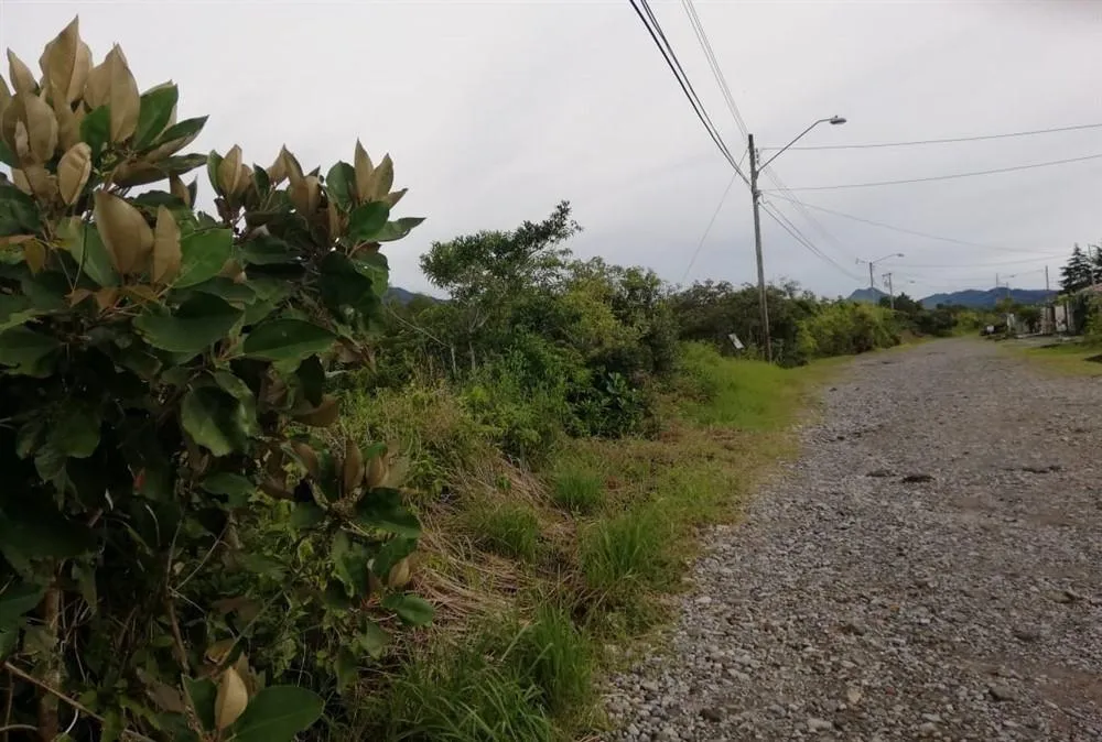 Amplios 5 Hectáreas en Venta en Alto Boquete