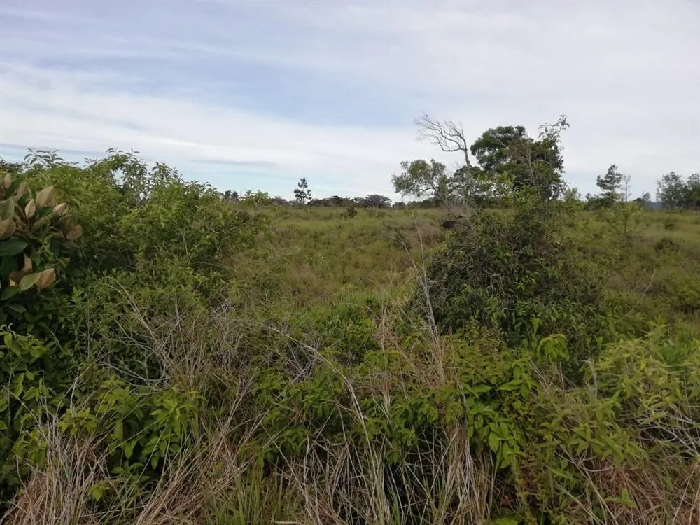 Amplios 5 Hectáreas en Venta en Alto Boquete