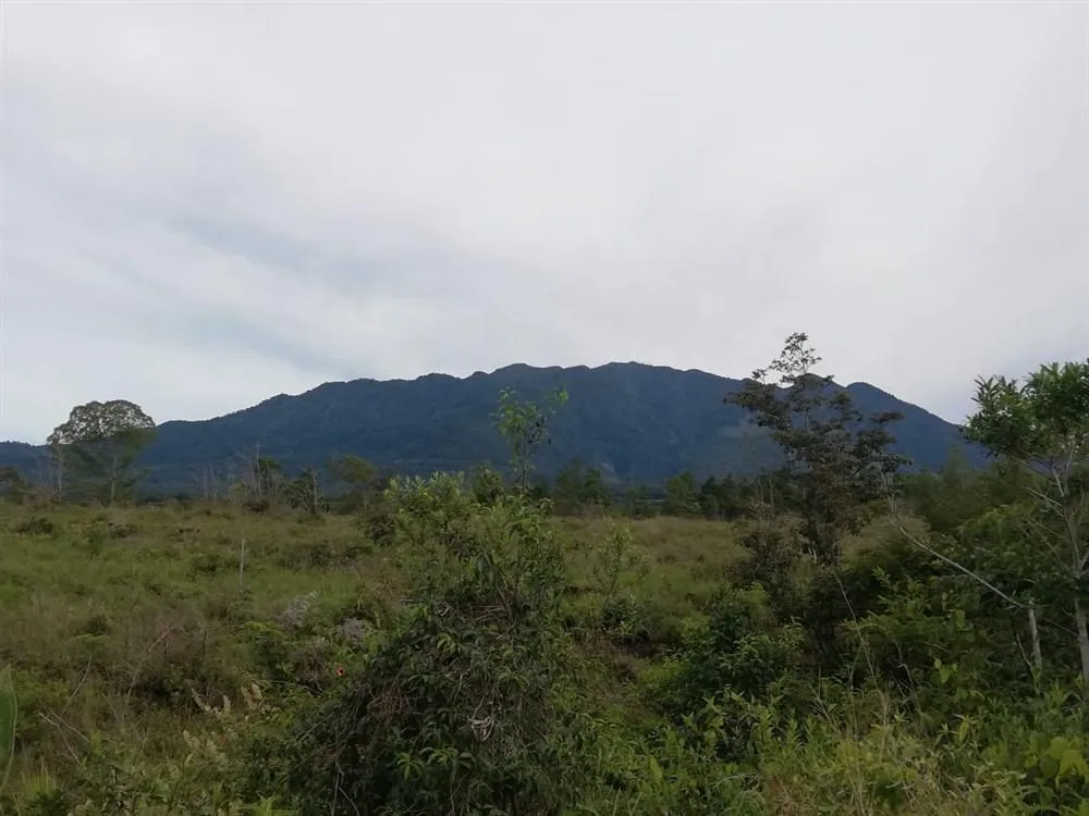 Amplios 5 Hectáreas en Venta en Alto Boquete