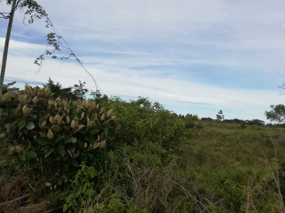Amplios 5 Hectáreas en Venta en Alto Boquete