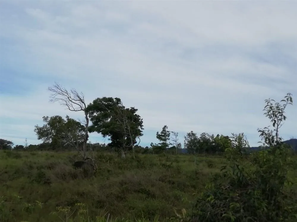 Amplios 5 Hectáreas en Venta en Alto Boquete