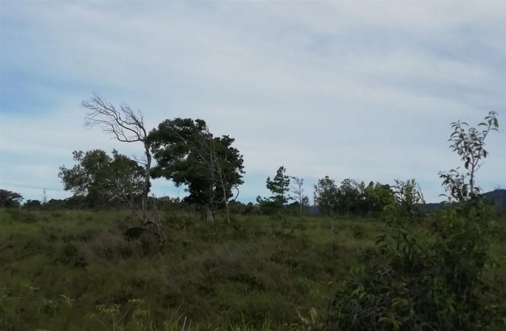 Amplios 5 Hectáreas en Venta en Alto Boquete