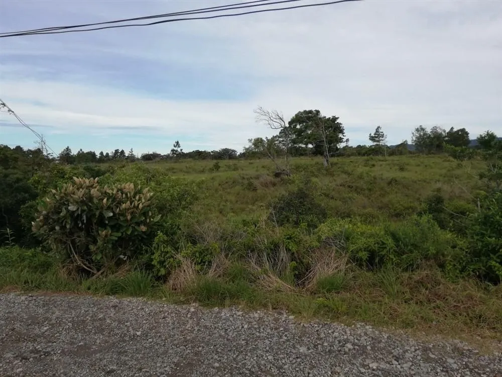 Amplios 5 Hectáreas en Venta en Alto Boquete