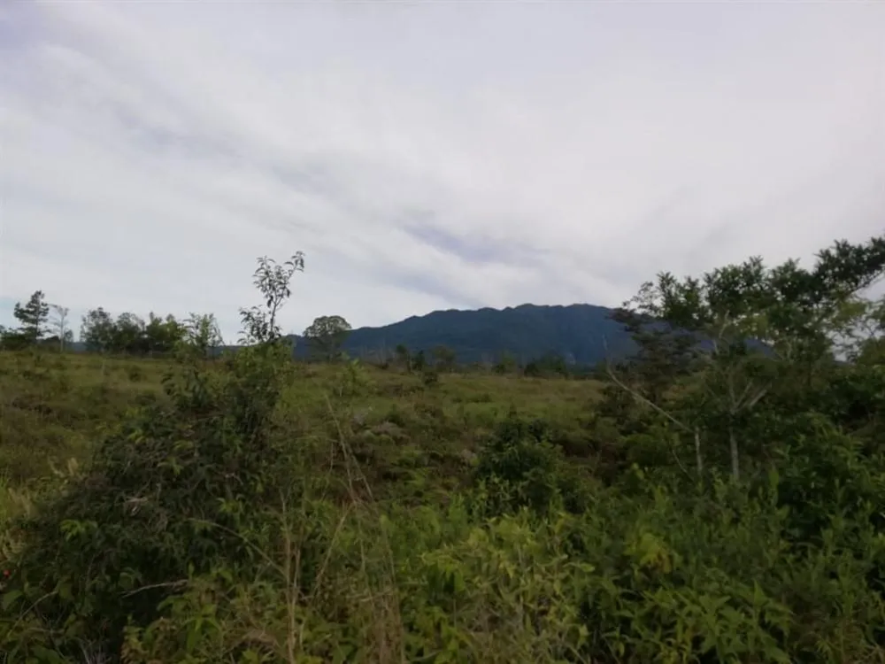 Amplios 5 Hectáreas en Venta en Alto Boquete