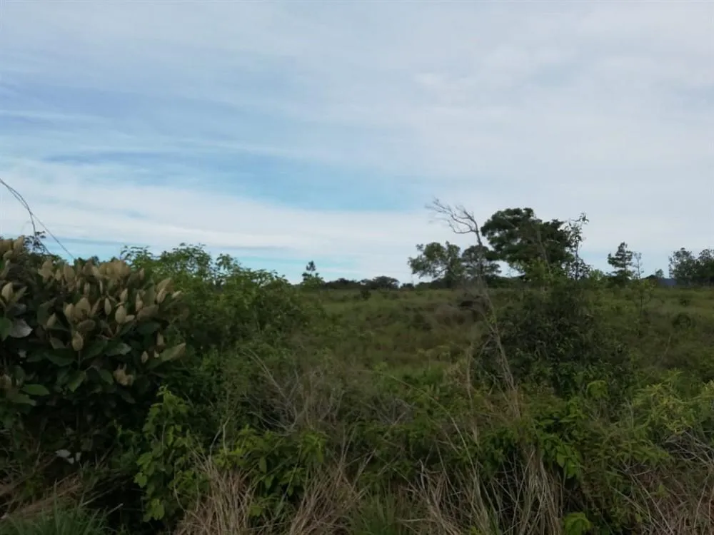 Amplios 5 Hectáreas en Venta en Alto Boquete