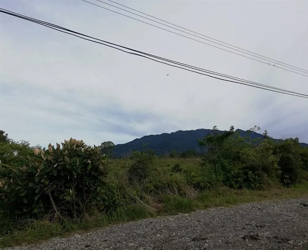 Amplios 5 Hectáreas en Venta en Alto Boquete