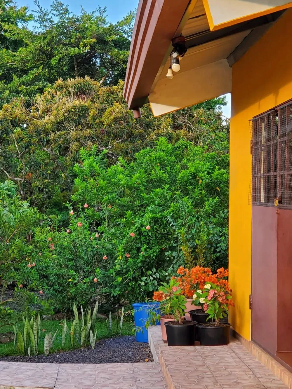 Furnished Home for Sale in Dolega with Gardens