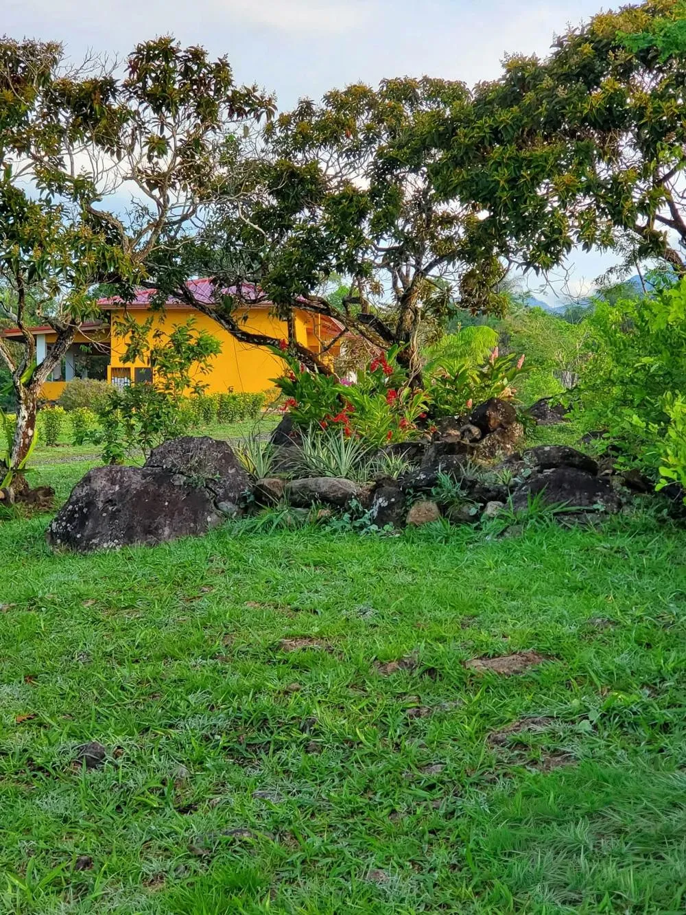 Furnished Home for Sale in Dolega with Gardens