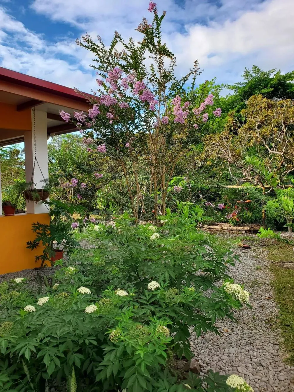 Furnished Home for Sale in Dolega with Gardens