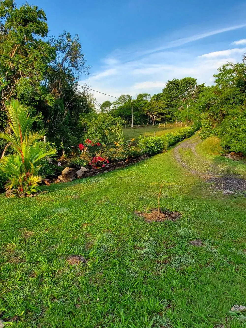 Furnished Home for Sale in Dolega with Gardens