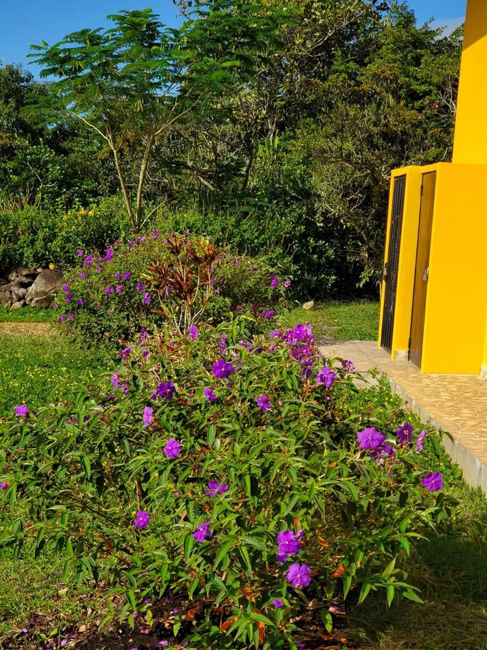 Furnished Home for Sale in Dolega with Gardens