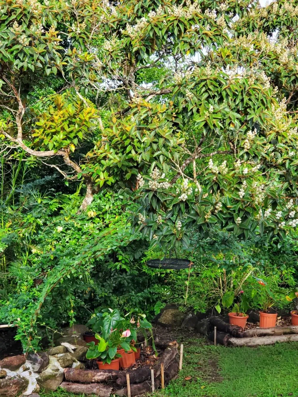 Furnished Home for Sale in Dolega with Gardens