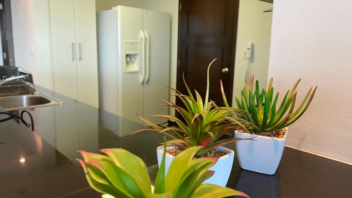 Riverside - Furnished Rental - Costa del Este