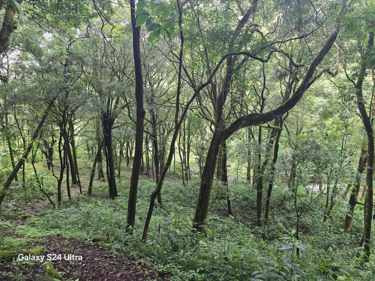 6.9 ha plot of land next to Boquete Country Club