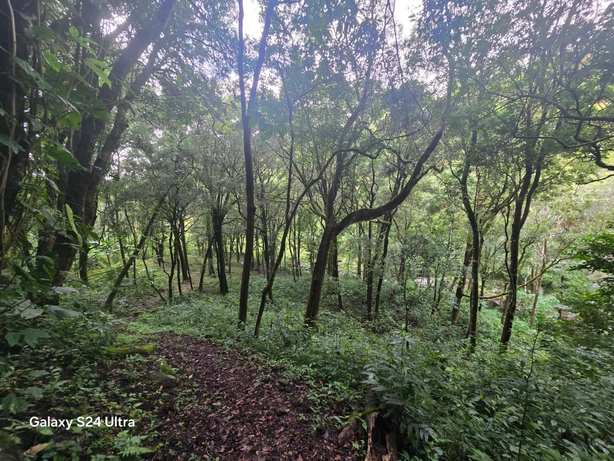 6.9 ha plot of land next to Boquete Country Club