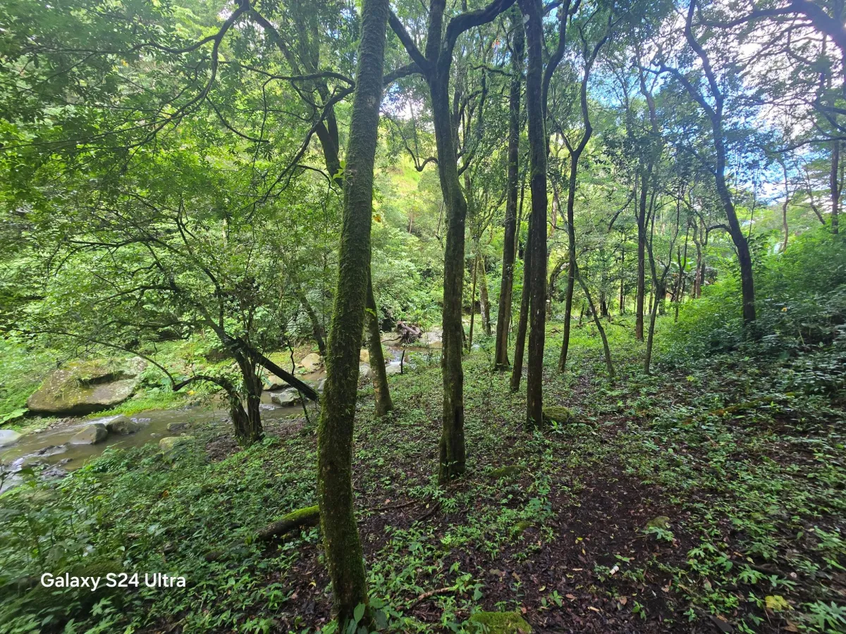 6.9 ha plot of land next to Boquete Country Club