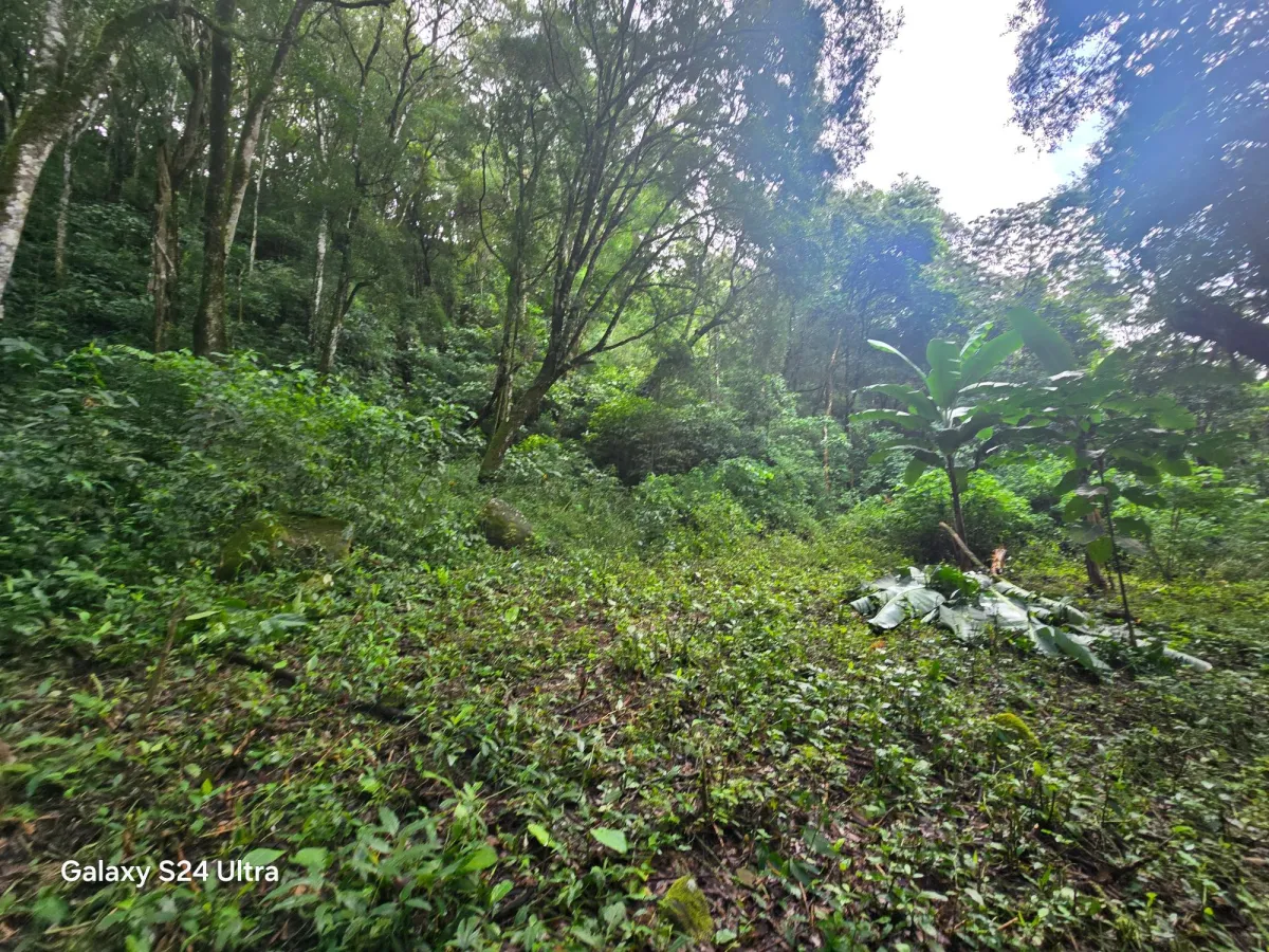 6.9 ha plot of land next to Boquete Country Club