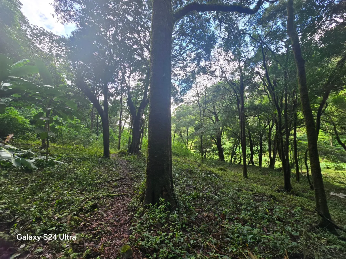 6.9 ha plot of land next to Boquete Country Club