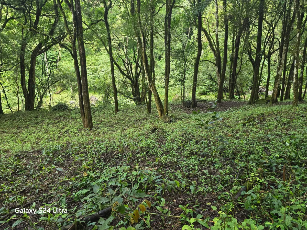 6.9 ha plot of land next to Boquete Country Club