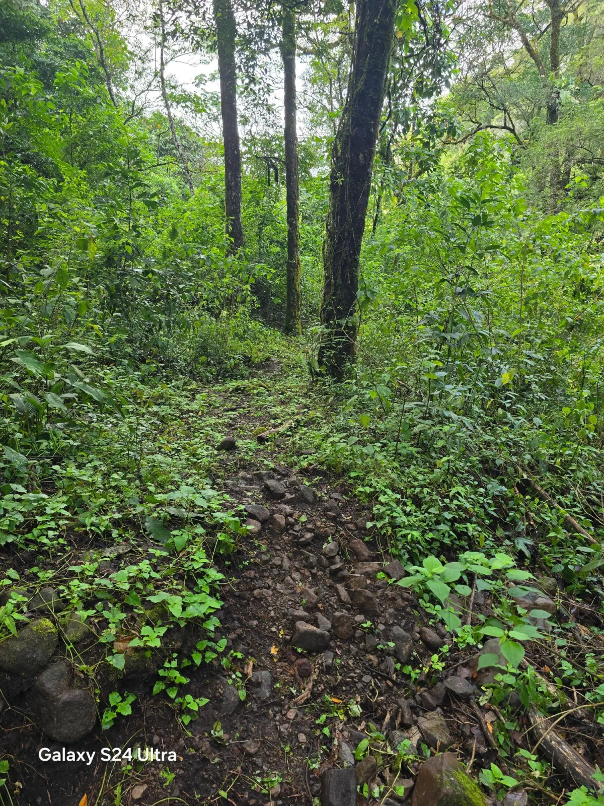6.9 ha plot of land next to Boquete Country Club