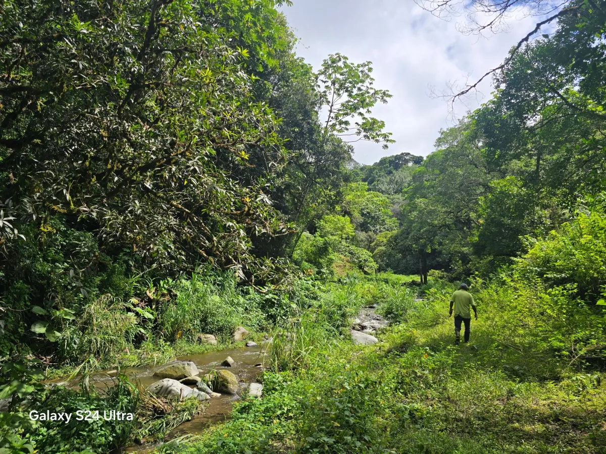 6.9 ha plot of land next to Boquete Country Club