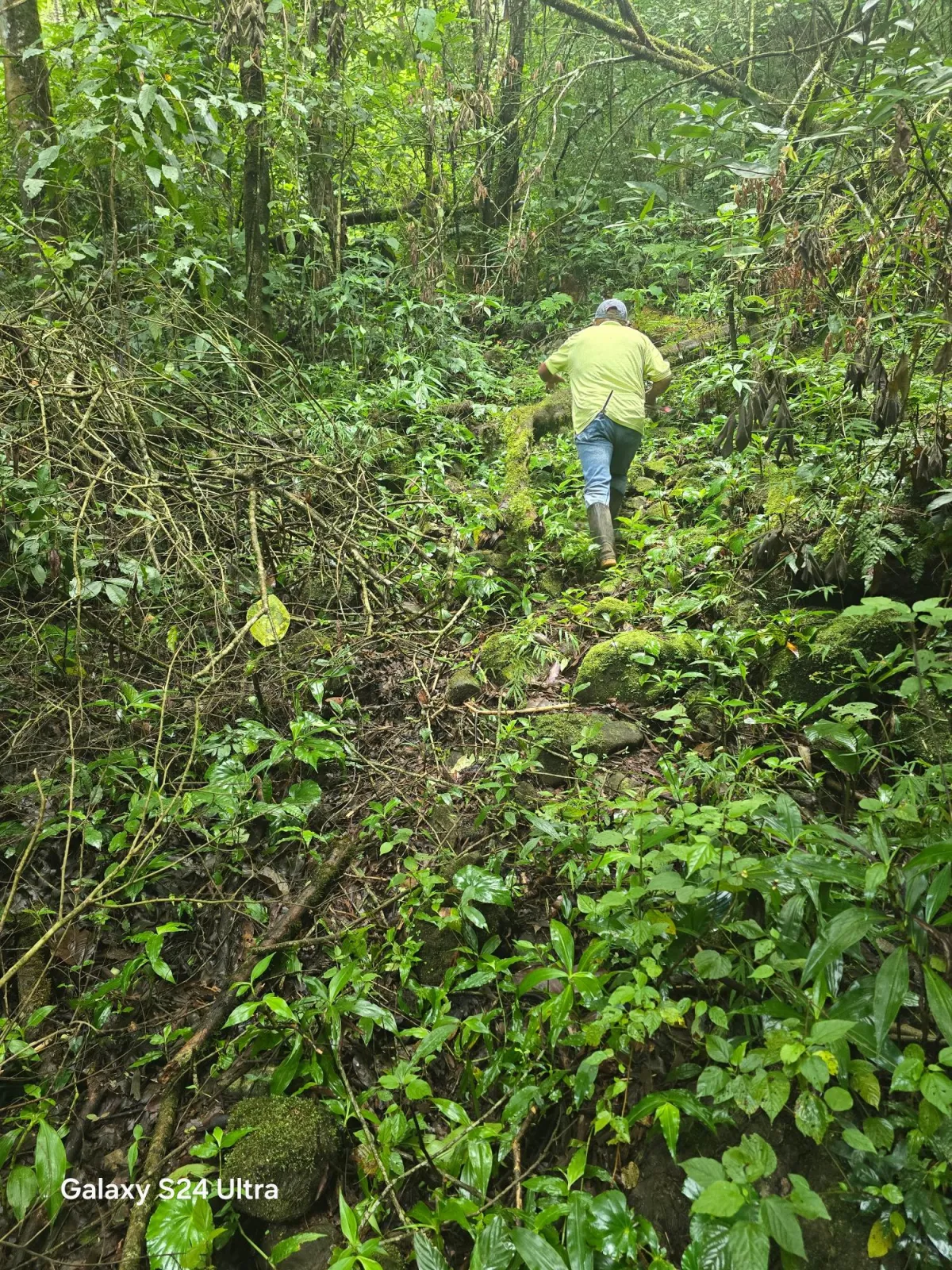 6.9 ha plot of land next to Boquete Country Club