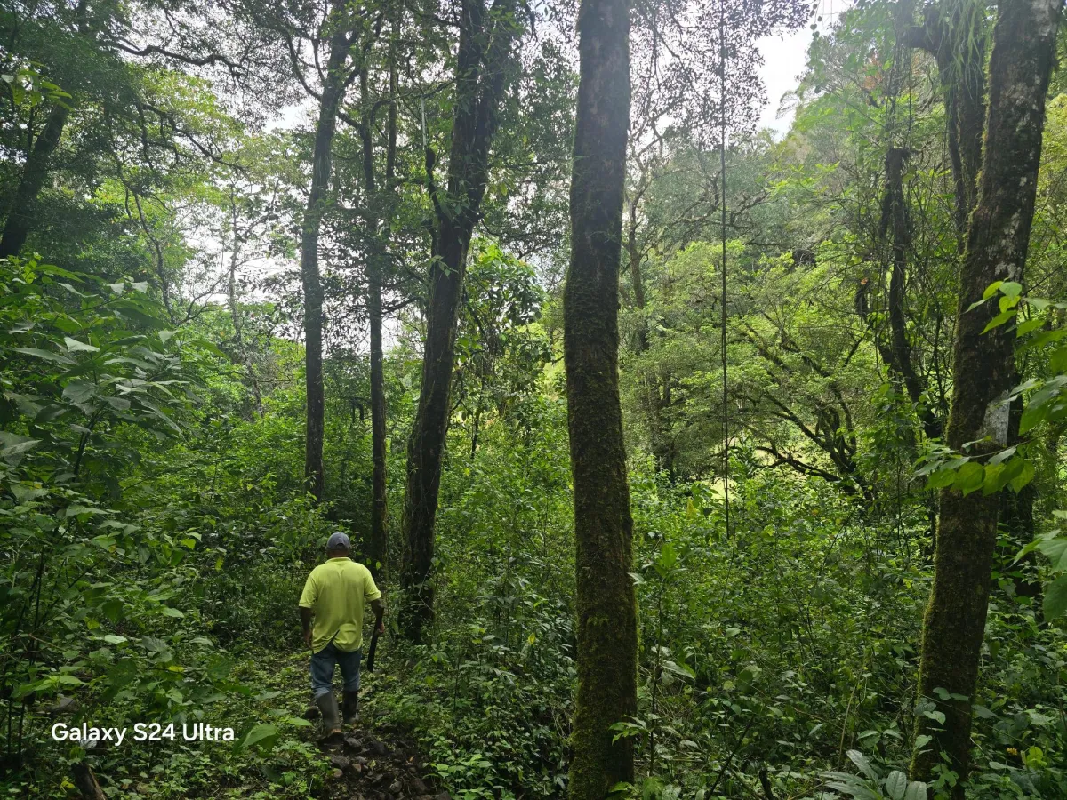 6.9 ha plot of land next to Boquete Country Club