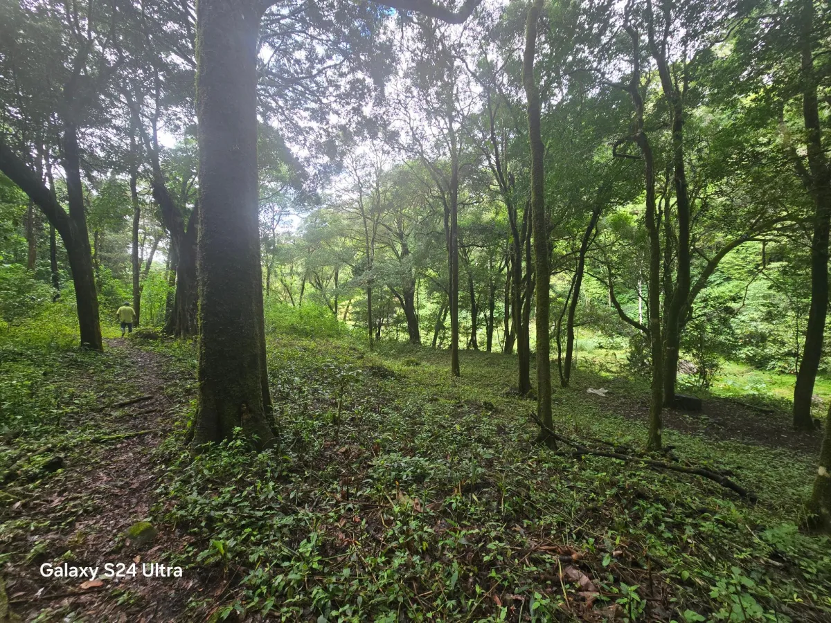 6.9 ha plot of land next to Boquete Country Club