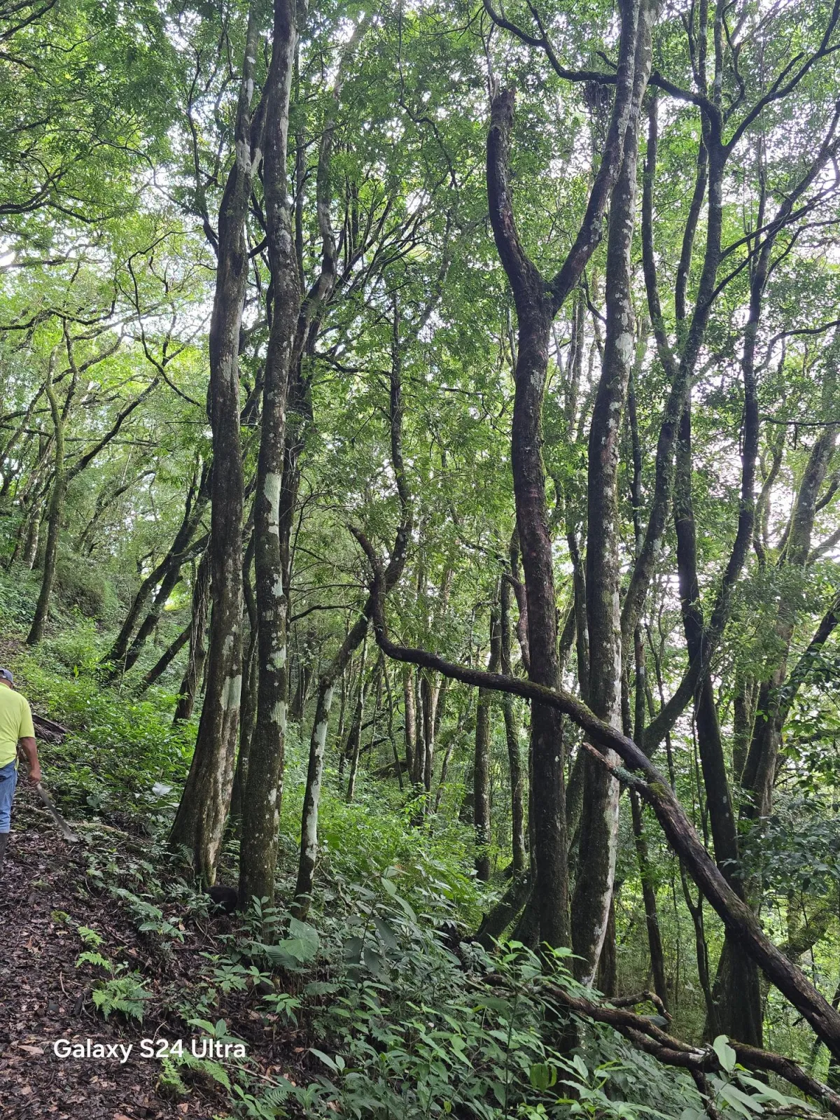 6.9 ha plot of land next to Boquete Country Club