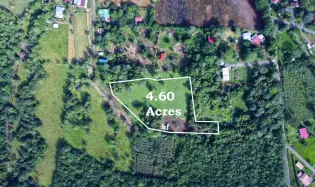 1.86-Hectare Lot in Potrerillos Arriba Dolega