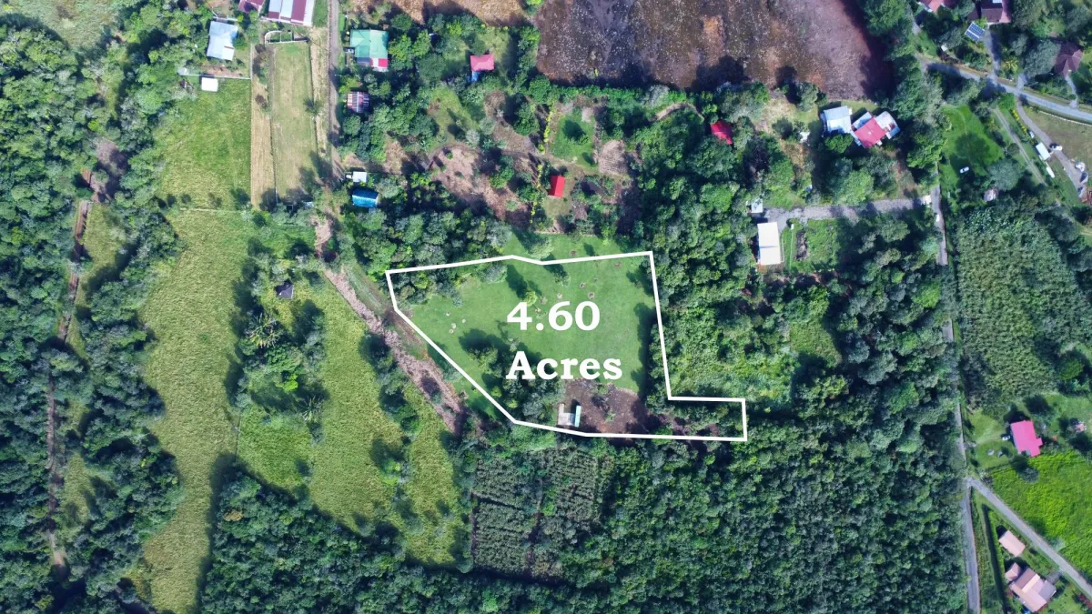 1.86-Hectare Lot in Potrerillos Arriba Dolega