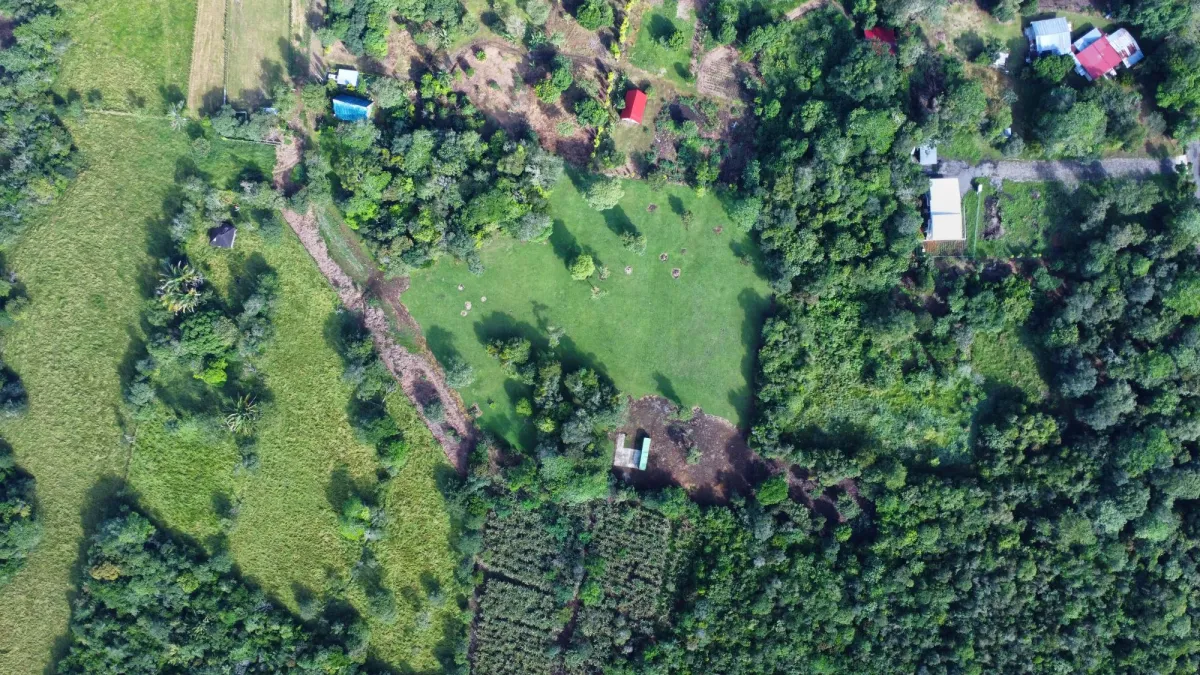 1.86-Hectare Lot in Potrerillos Arriba Dolega